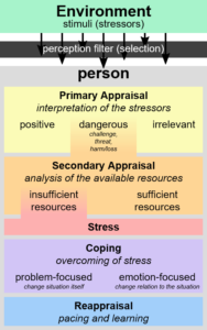 How to process stress and distress in Romans 8:35