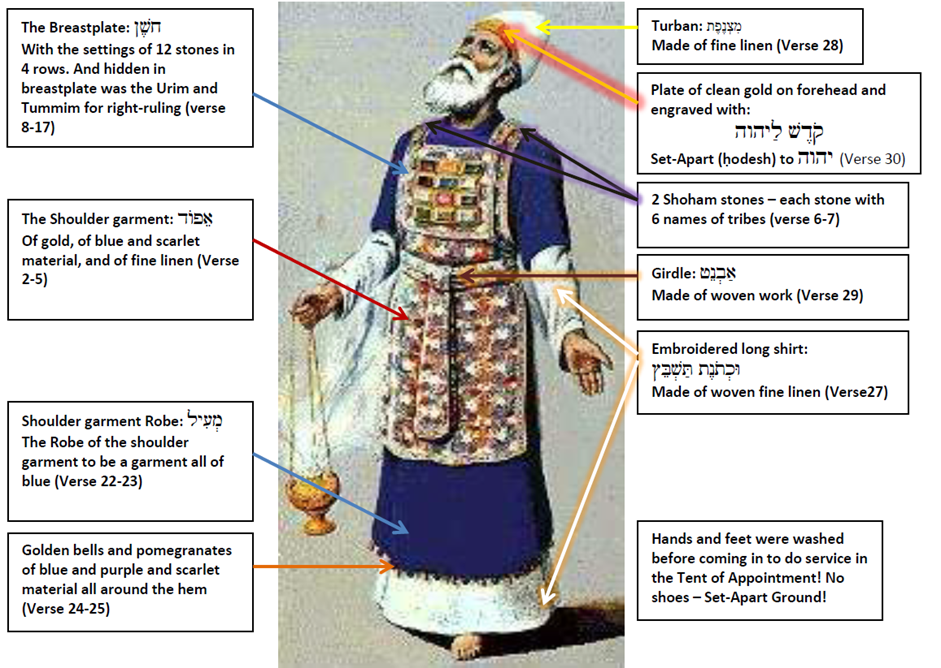 Эфод первосвященника. Одежда первосвященника Аарона. Наперсник Аарона. Наперсник в Библии. Племя стих